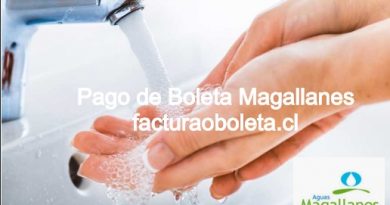 Aguas Magallanes Pagar