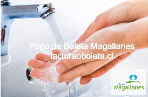 Aguas Magallanes Pagar