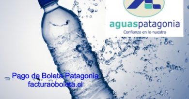 Aguas Patagonia Pago